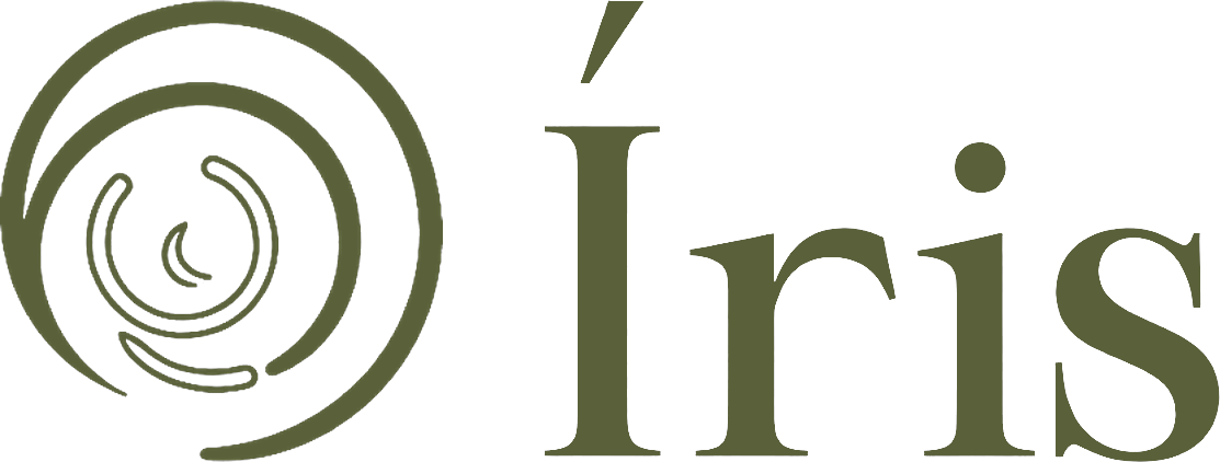 Blog Íris Concierge